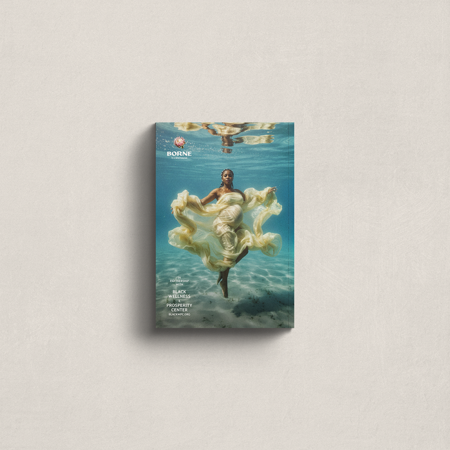 Birthing While Black: A Hospital Guide (Borne)