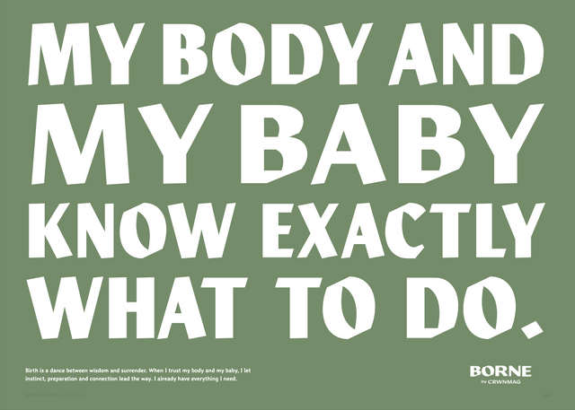 Birthing While Black: A Hospital Guide (Borne)