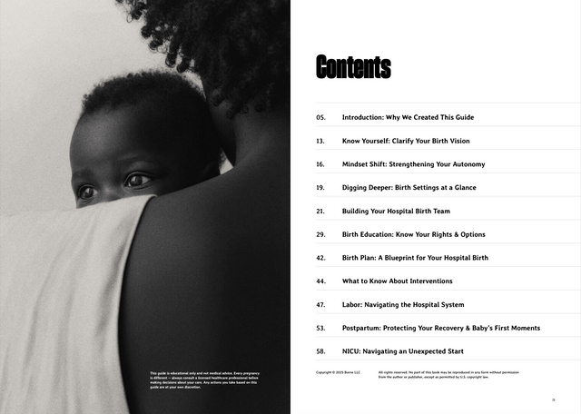 Birthing While Black: A Hospital Guide (Borne)