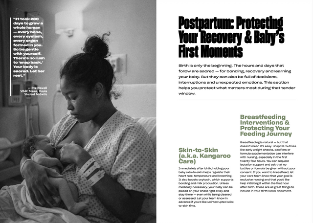 Birthing While Black: A Hospital Guide (Borne)