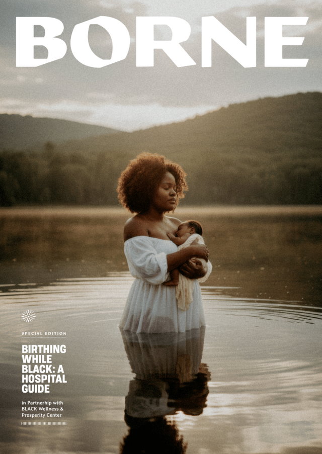 Birthing While Black: A Hospital Guide (Borne)