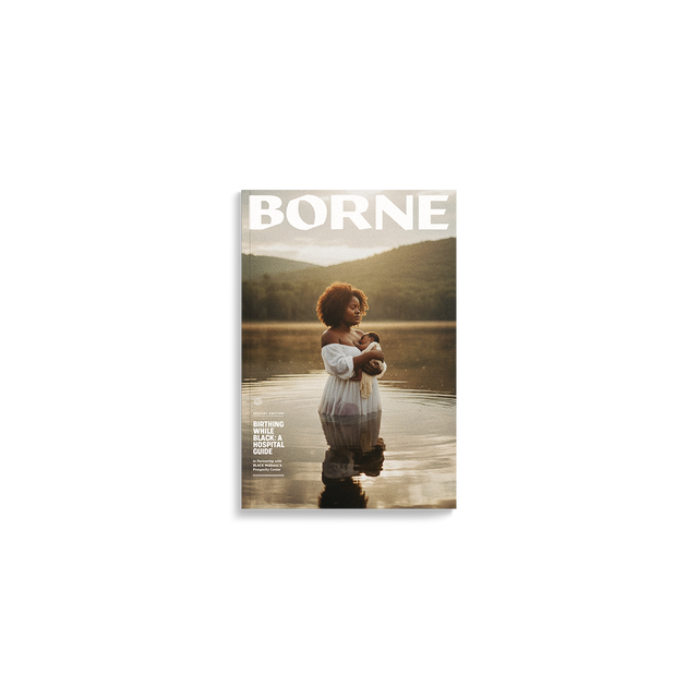 Birthing While Black: A Hospital Guide (Borne)