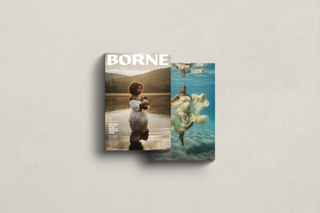 Birthing While Black: A Hospital Guide (Borne)